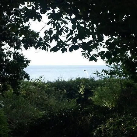 住宿加早餐酒店 Danchelshus